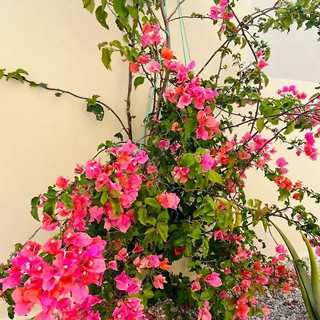Апартаменты Casa Rosada *